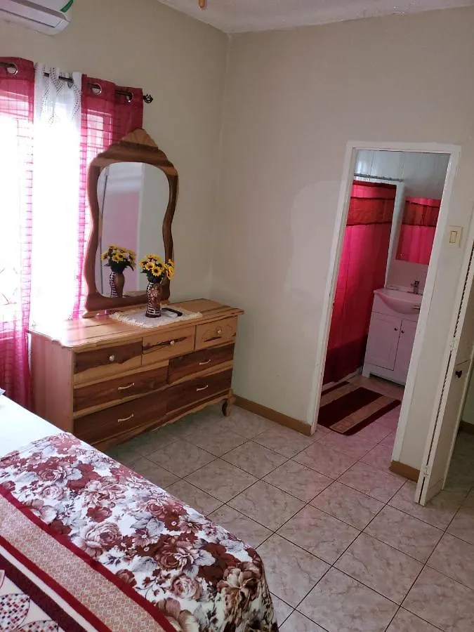 M&W Vacation Home Kingston